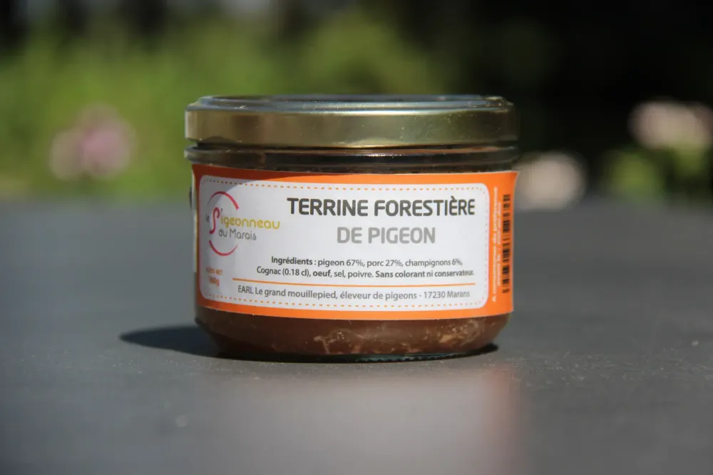 Terrine forestière de Pigeon